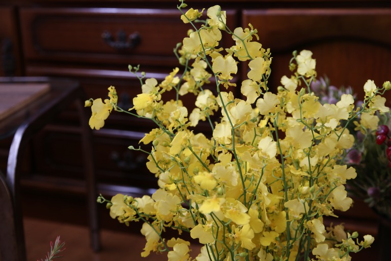 オンシジューム　'ハニーエンジェル'