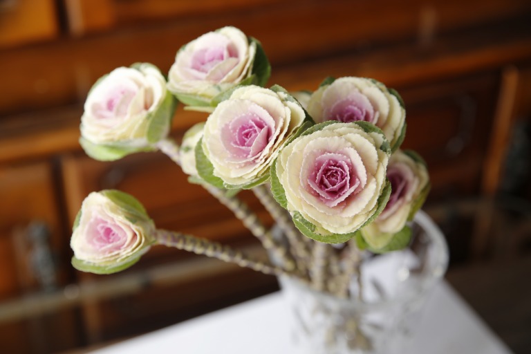 ハボタン　葉牡丹　晴姿