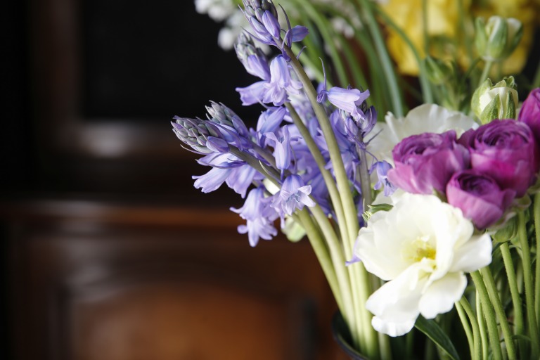 シラー・カンパニュラータ/ヒヤシンソイデス・ヒスパニカ　紫色　釣鐘形のお花