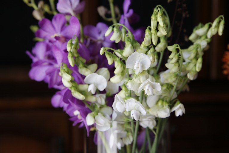 宿根スィートピー　白